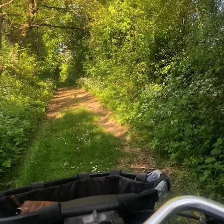 Dom wakacyjny La Brossiere Landouzy-la-Cour