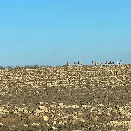 Dom wakacyjny La Brossiere *